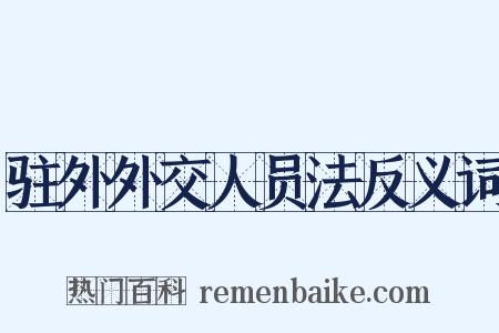 驻外外交人员法反义词是什么意思的图片